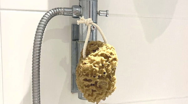 Should you use a natural sea sponge to wash your kids?